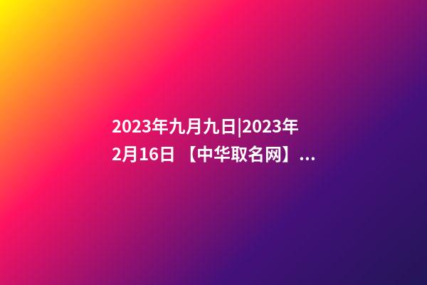 2023年九月九日|2023年2月16日 【中华取名网】与银川市XX综合服务有限公司签约-第1张-公司起名-玄机派